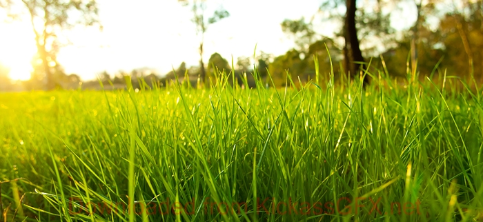 DDOS压力测试网页端