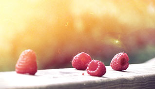 发卡网一手的免费ddos网页端